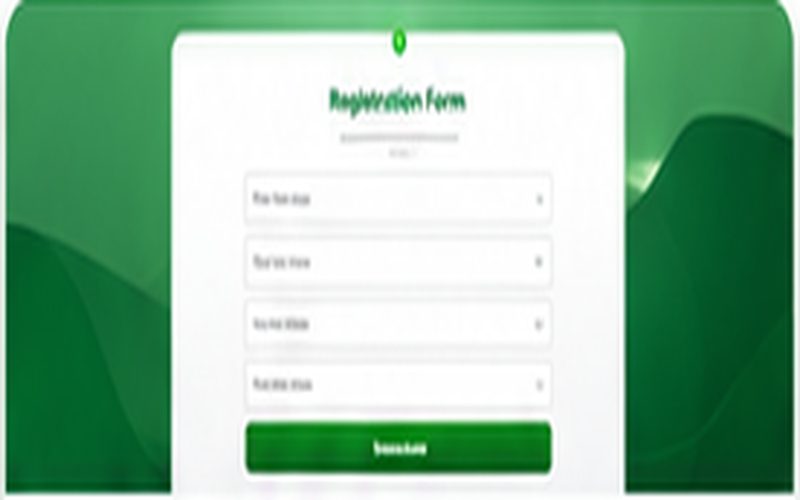 Registration Form — project screenshot